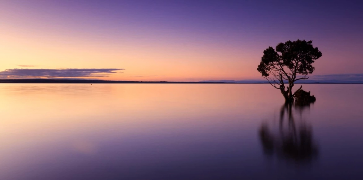 Read more about the article Yoga Nidra For Relaxation – Guided Meditation